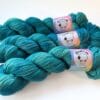 Hand-dyed Superwash Merino/Nylon Yarn “Pauw 2”