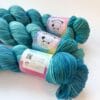 Hand-dyed Superwash Merino/Nylon Yarn “Pauw 2”
