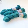 Hand-dyed Superwash Merino/Nylon Yarn “Pauw 2”