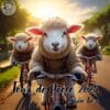 Tour de Fleece 2025, De Spinbox!