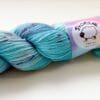 7D83458C-0CCB-4BC8-A624-CBD3F9FB959E Onder de pruimenboom – Handgeverfd Merino garen vol kleur