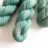 282A2C7A-1D3C-47B9-98BB-149C8349A64B Emaille – Hand-dyed Yarn in a Muted Mint Green