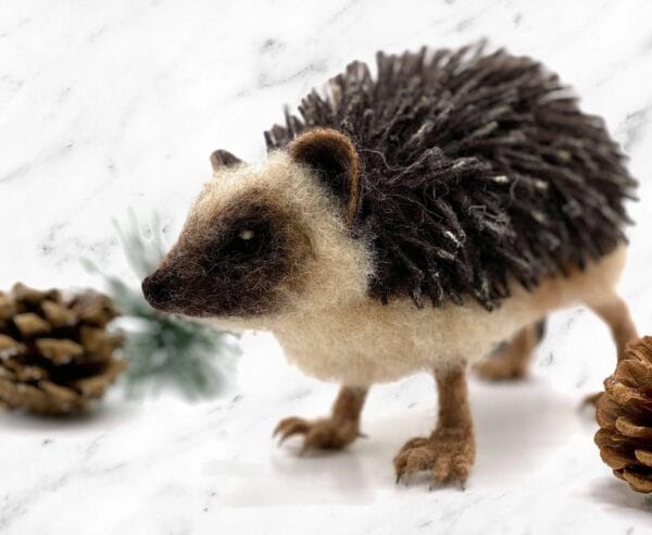 Hugo the Hedgehog – Complete Needle Felting Kit