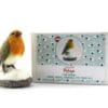 Robyn the Robin – Complete Needle Felting Kit