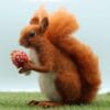 Solly the Squirrel – Complete Needle Felting Kit