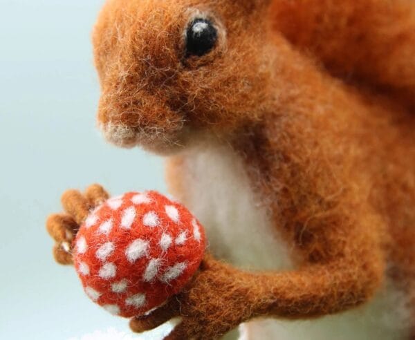 Solly the Squirrel – Complete Needle Felting Kit