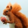 Solly the Squirrel – Complete Needle Felting Kit