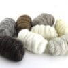 Breed Discovery Pack – Spinning Wool Sampler (200g)