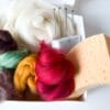 Floortje's Felting Kit - Autumn Edition (Mushroom & Pumpkin)