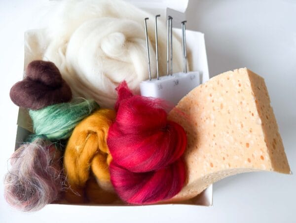 Floortje's Felting Kit - Autumn Edition (Mushroom & Pumpkin)
