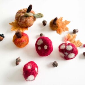 Floortje's viltpakketje – Herfsteditie (paddestoel & pompoen)