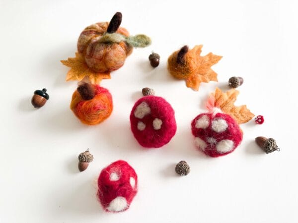 Floortje's Felting Kit - Autumn Edition (Mushroom & Pumpkin)