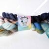 2F2742F8-EF17-4C47-8925-3E3F70EB9966 Yarn Club Februari | Vogels, laatste strengen