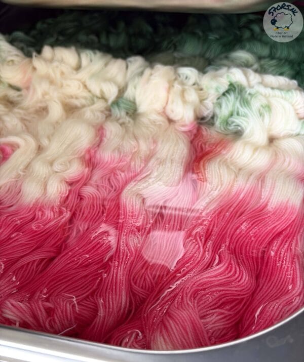 5F017F1E-5A17-4071-8934-21060466DC10 Mini skein sock yarn set 'Sushi Box' 100g hand-dyed yarn
