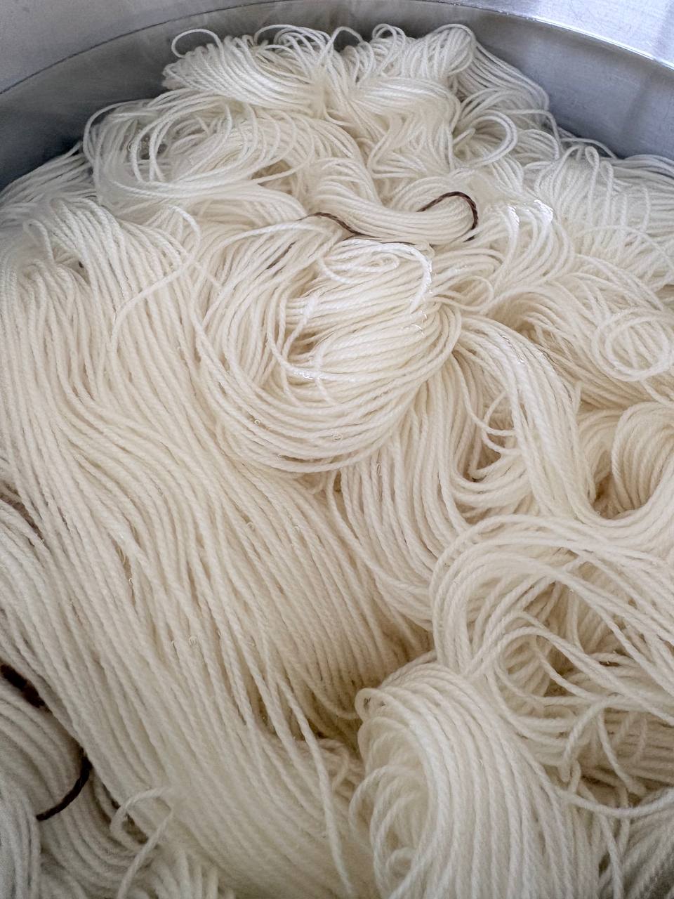White skeins of wool in water in a metal tub during the pre-soak.