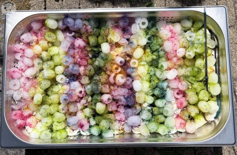 Metalen bak met ijsblokjes, kleurpoeder en wol tijdens ice dye.