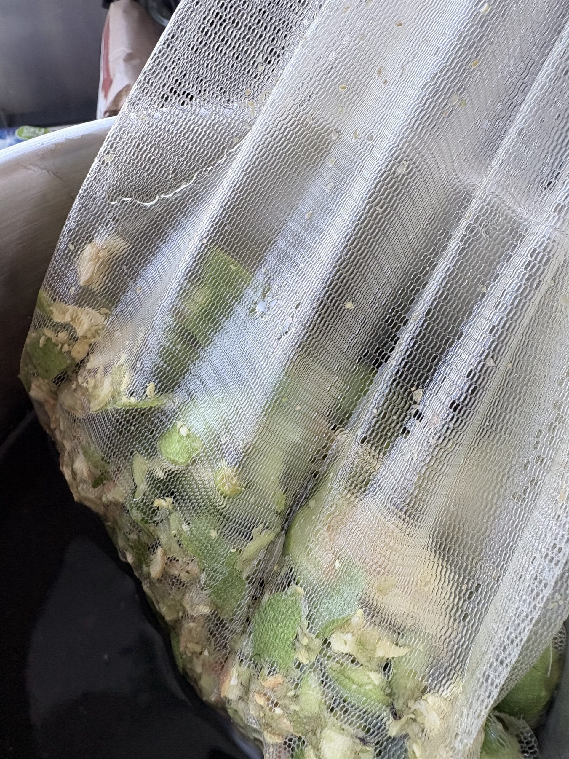 Gekneusde groene walnoten in een fijnmazig netje boven donker extract.